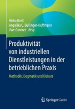 Produktivitat Von Industriellen Dienstleistungen in Der Betrieblichen Praxis