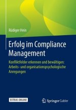 Erfolg Im Compliance Management