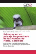 Primates en un paisaje fragmentado de los Montes de María, Colombia