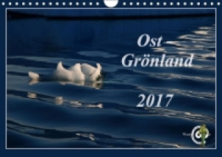 Ost-Grönland (Wandkalender 2017 DIN A4 quer)