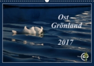 Ost-Grönland (Wandkalender 2017 DIN A3 quer)