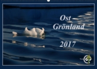 Ost-Grönland (Wandkalender 2017 DIN A2 quer)