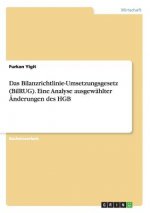 Bilanzrichtlinie-Umsetzungsgesetz (BilRUG). Eine Analyse ausgewahlter AEnderungen des HGB