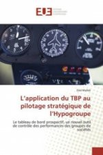 L'application du TBP au pilotage stratégique de l'Hypogroupe