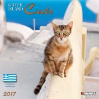Greek Island Cats 2017