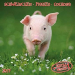 Piggies 2017