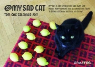My Sad Cat 2017 Calendar
