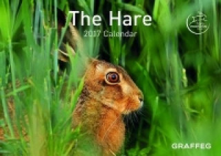 Hare 2017 Calendar