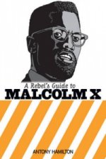 Rebel's Guide To Malcolm X