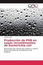 Producción de PHB en cepas recombinantes de Escherichia coli