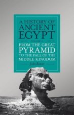 A History of Ancient Egypt. Vol.2