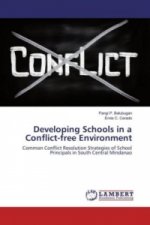 Developing Schools in a Conflict-free Environment