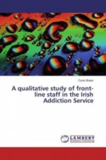 A qualitative study of front-line staff in the Irish Addiction Service