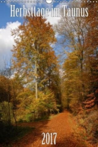 Herbsttage im Taunus (Wandkalender 2017 DIN A3 hoch)