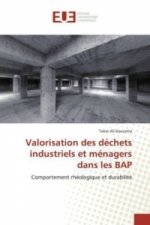 Valorisation des déchets industriels et ménagers dans les BAP