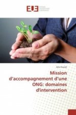 Mission d'accompagnement d'une ONG: domaines d'intervention