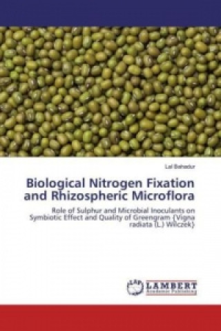 Biological Nitrogen Fixation and Rhizospheric Microflora