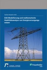 DAE-Modellierung und mathematische Stabilitätsanalyse von Energieversorgungsnetzen.