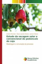 Estudo da secagem solar e convencional do pedúnculo do caju