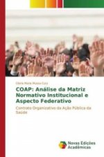 COAP: Análise da Matriz Normativo Institucional e Aspecto Federativo