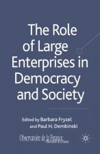 The Role of Large Enterprises in Democracy and Society