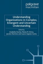 Understanding Organizations in Complex, Emergent and Uncertain Environments