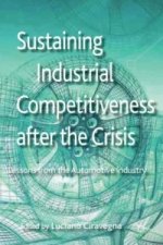 Sustaining Industrial Competitiveness after the Crisis