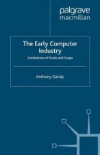 The Early Computer Industry