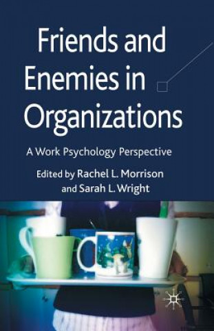 Friends and Enemies in Organizations