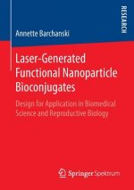 Laser-Generated Functional Nanoparticle Bioconjugates