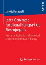 Laser-Generated Functional Nanoparticle Bioconjugates