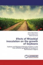 Effects of Rhizobial inoculation on the growth of Soybeans
