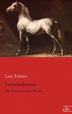 Leinwandmesser