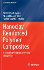 Nanoclay Reinforced Polymer Composites