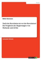Nach der Revolution ist vor der Revolution? Ein Vergleich der Regierungen von Mubarak und Al-Sisi