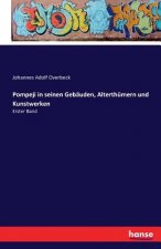 Pompeji in seinen Gebauden, Alterthumern und Kunstwerken