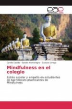 Mindfulness en el colegio