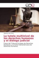 La tutela multinivel de los derechos humanos y el diálogo judicial