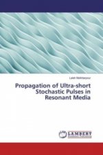 Propagation of Ultra-short Stochastic Pulses in Resonant Media