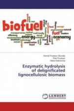 Enzymatic hydrolysis of delignificated lignocellulosic biomass
