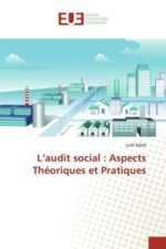 L'audit social : Aspects Théoriques et Pratiques