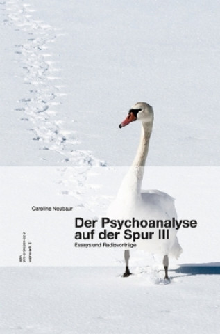 Der Psychoanalyse auf der Spur. Bd.3