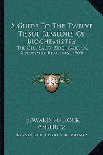 Guide to the Twelve Tissue Remedies of Biochemistry