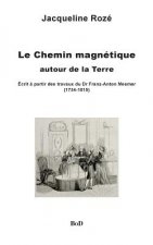 chemin magnetique autour de la Terre