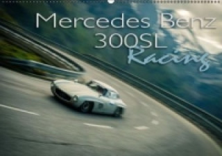 Mercedes Benz 300SL - Racing (Wandkalender 2017 DIN A2 quer)