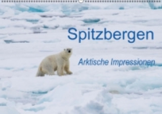 Spitzbergen - Arktische Impressionen (Wandkalender 2017 DIN A2 quer)