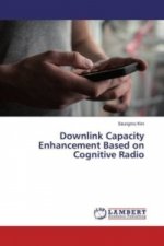 Downlink Capacity Enhancement Based on Cognitive Radio