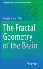 Fractal Geometry of the Brain
