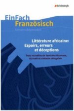 Littérature africaine: Espoirs, erreurs et déceptions