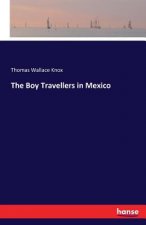 Boy Travellers in Mexico